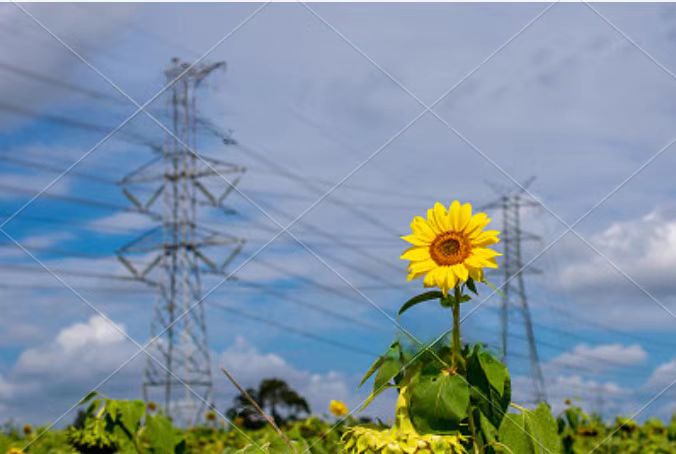 Solar Energy Systems Solar Energy Systems